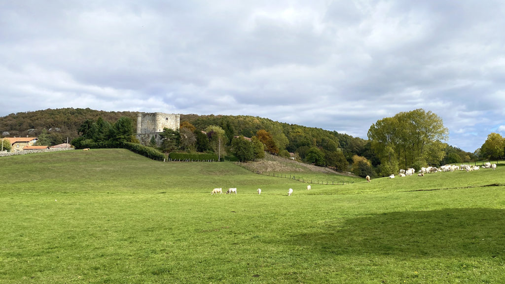 Castillo de Virtus